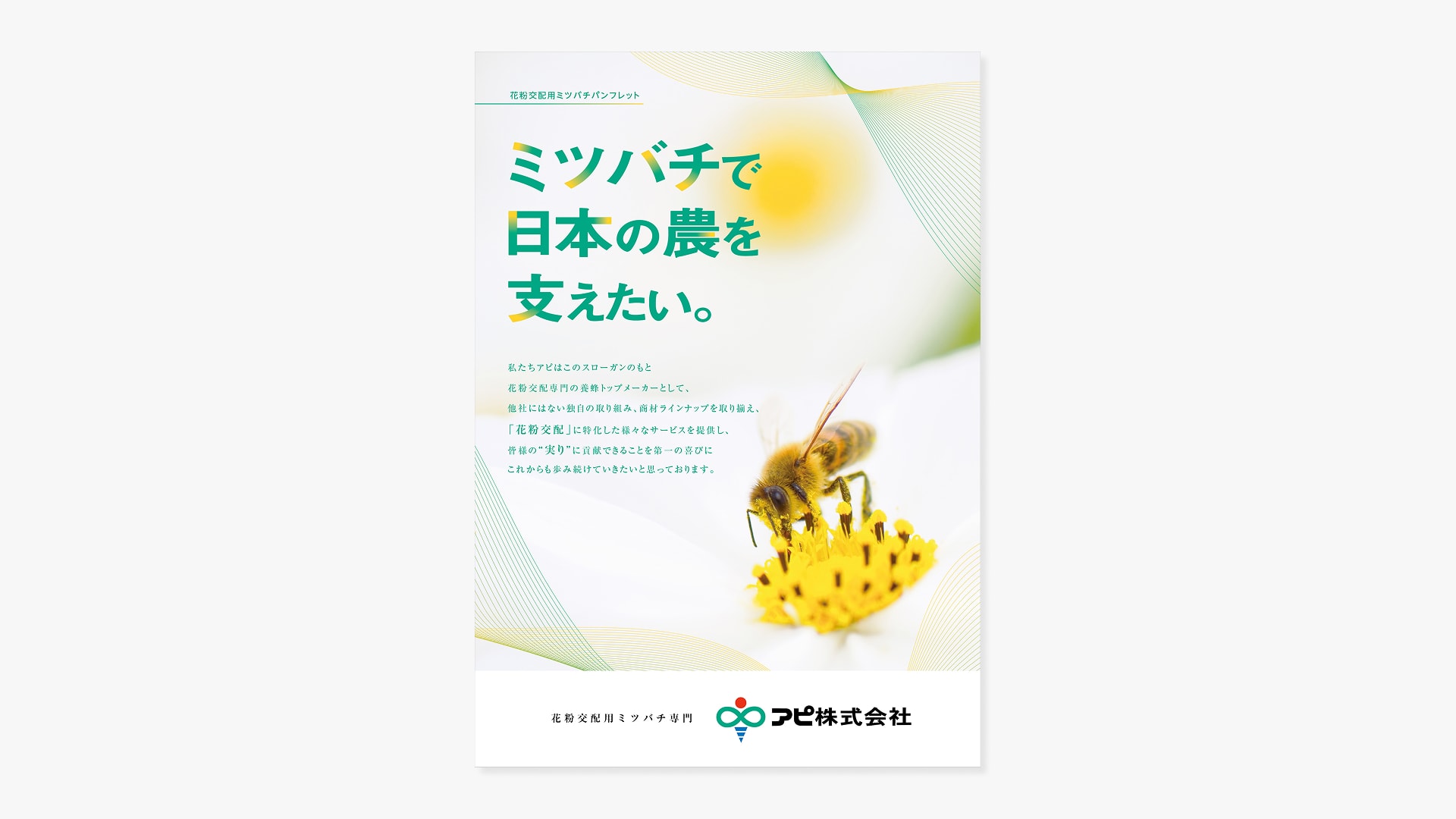 製品紹介