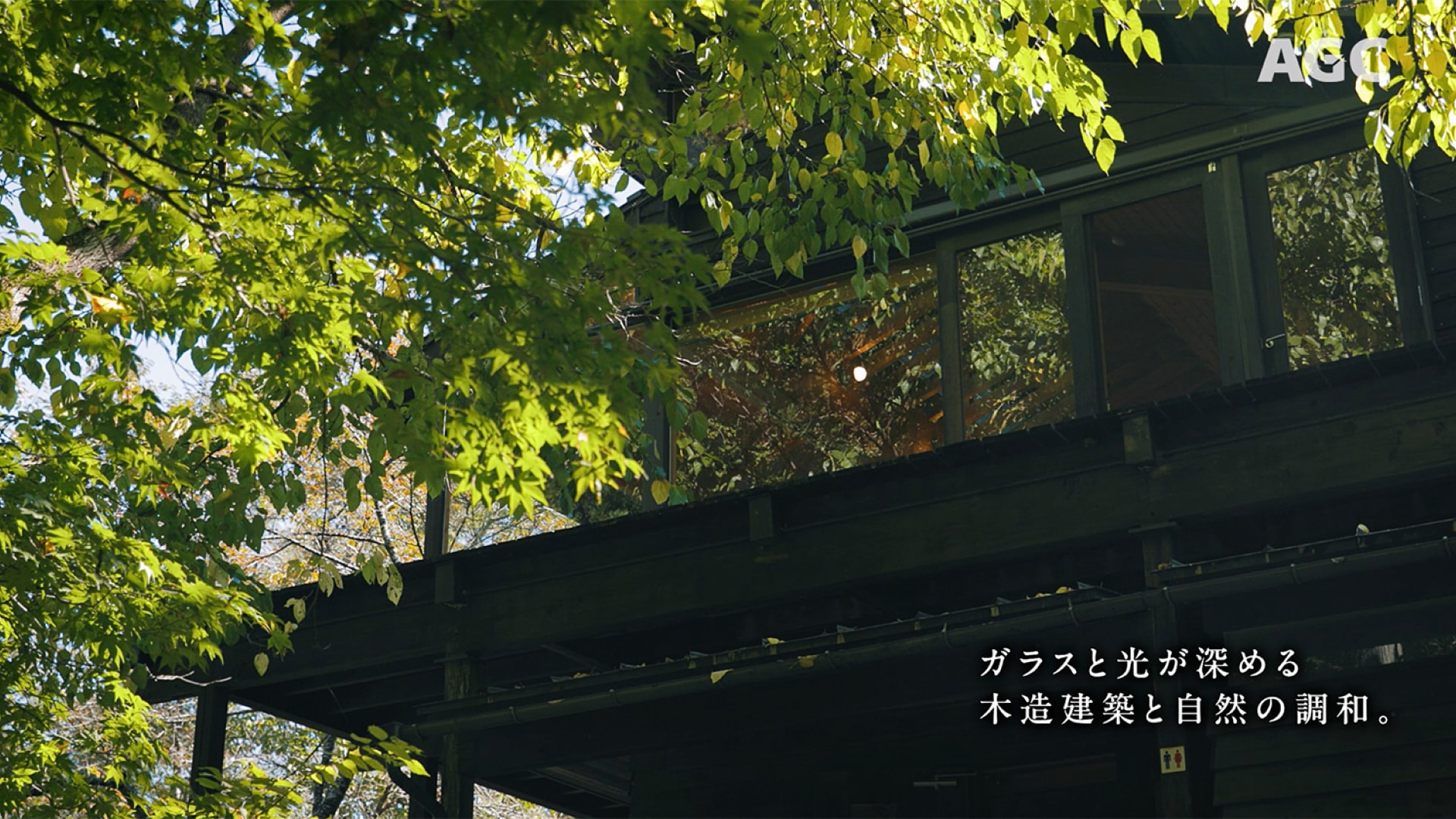プロモーション動画