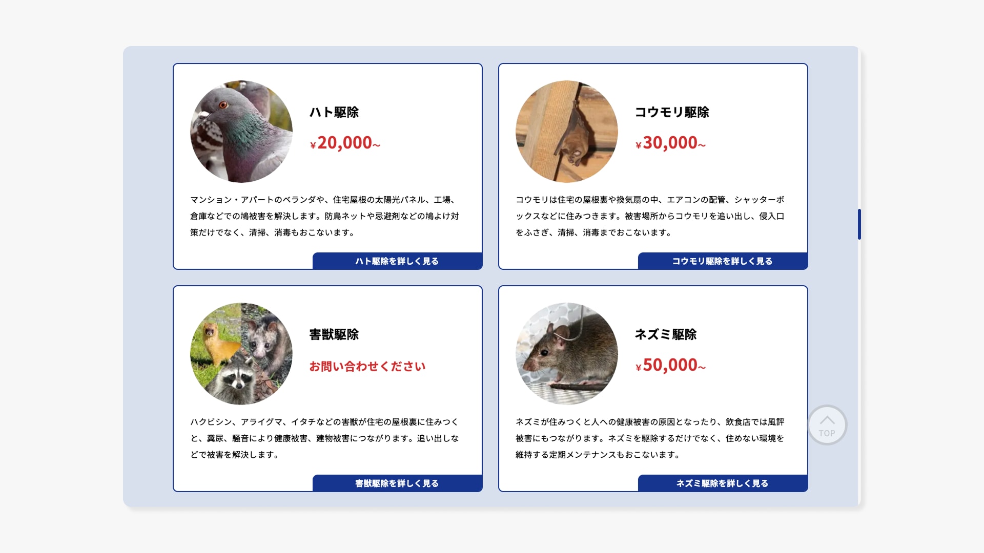 事業紹介サイト