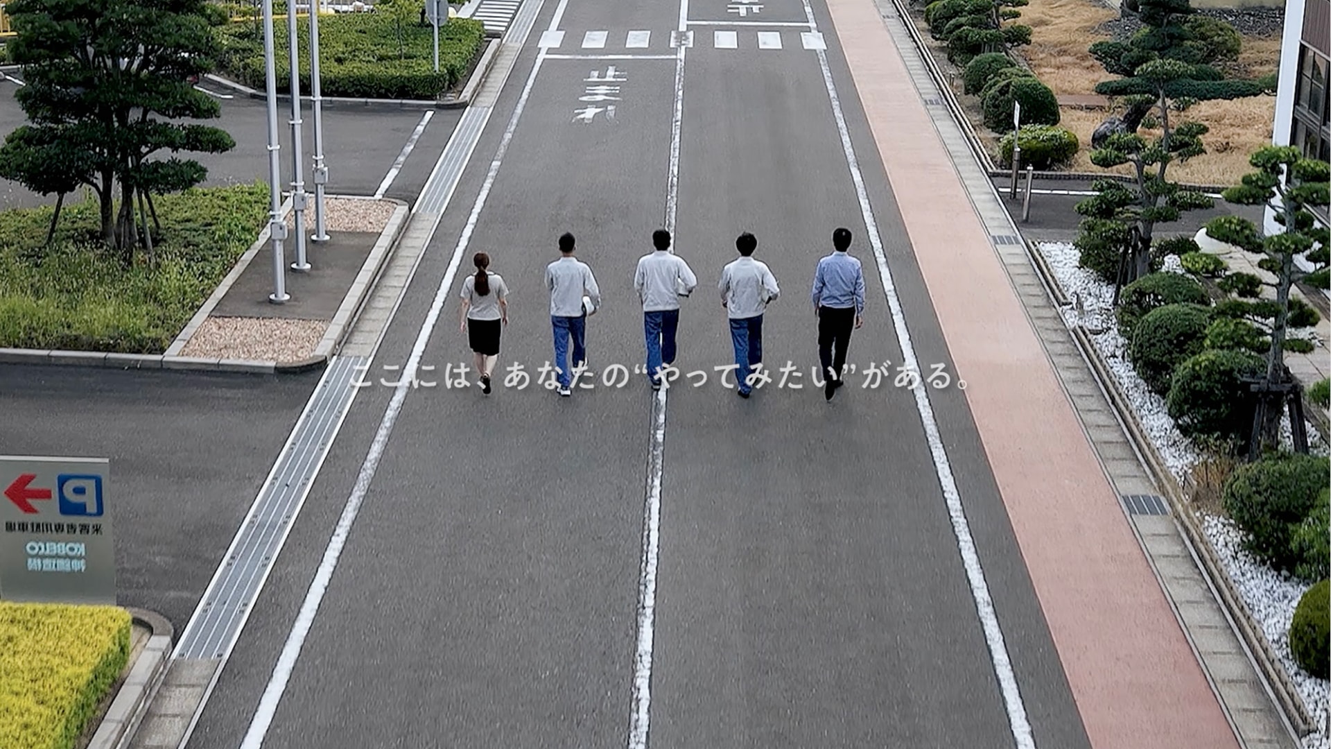 企業紹介動画
