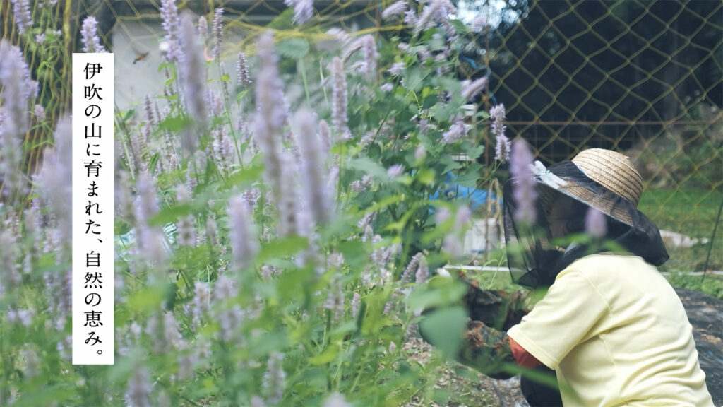 かすがモリモリ村リフレッシュ館